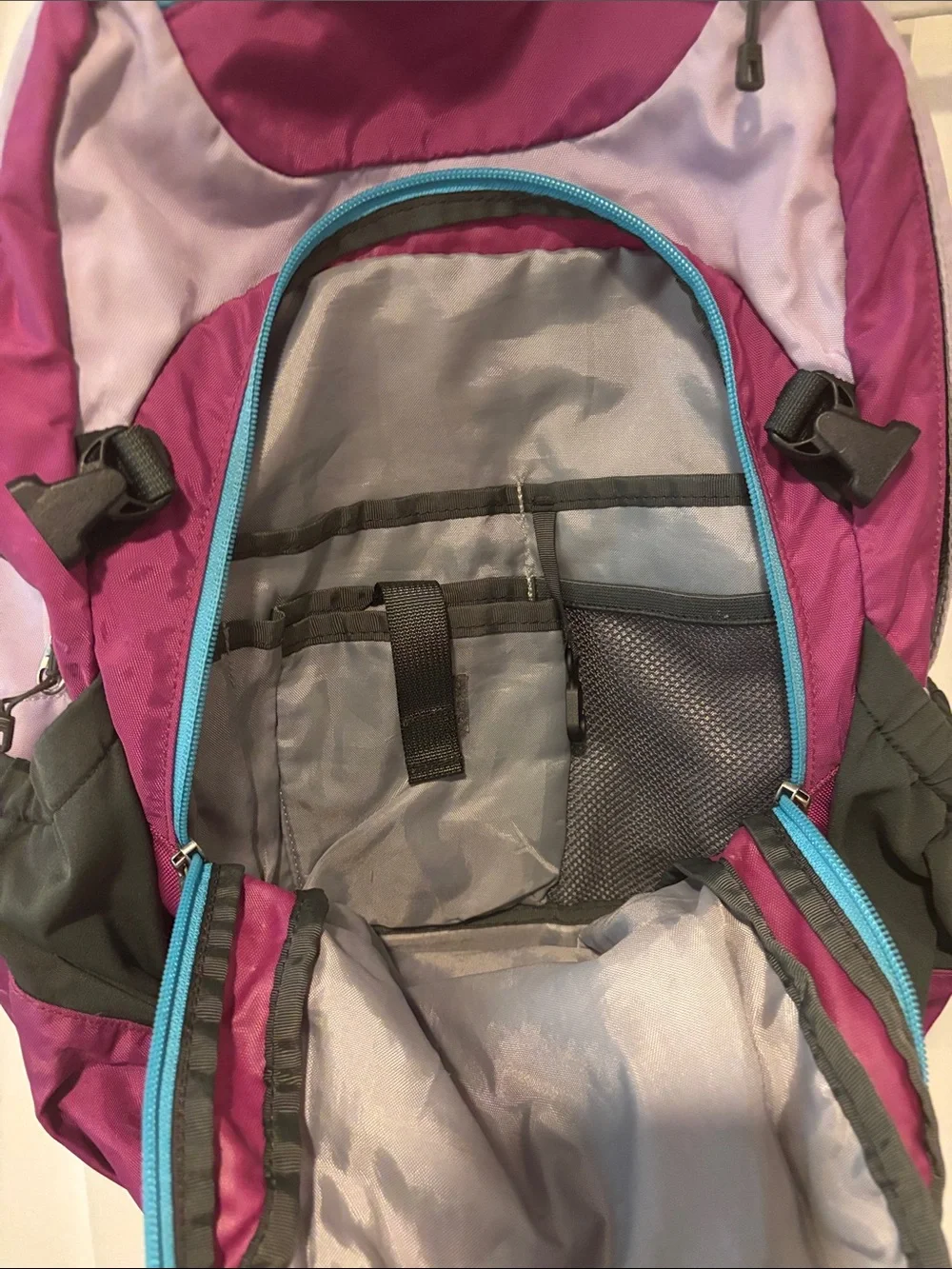 Patagonia Magenta and Lavender Daypack with Teal Accents